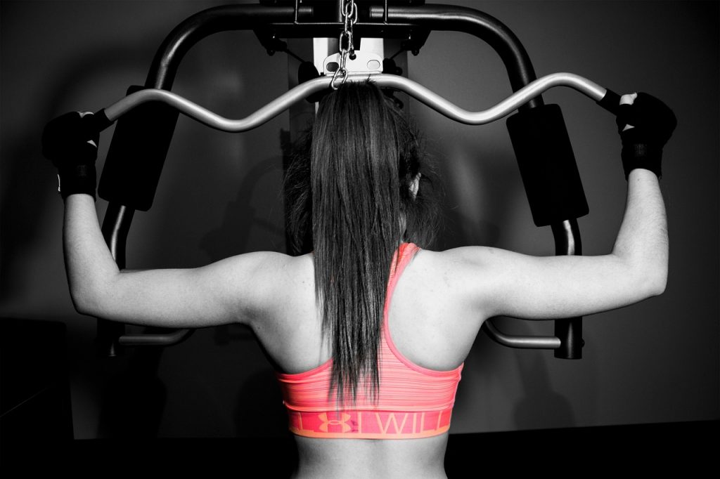 muscle