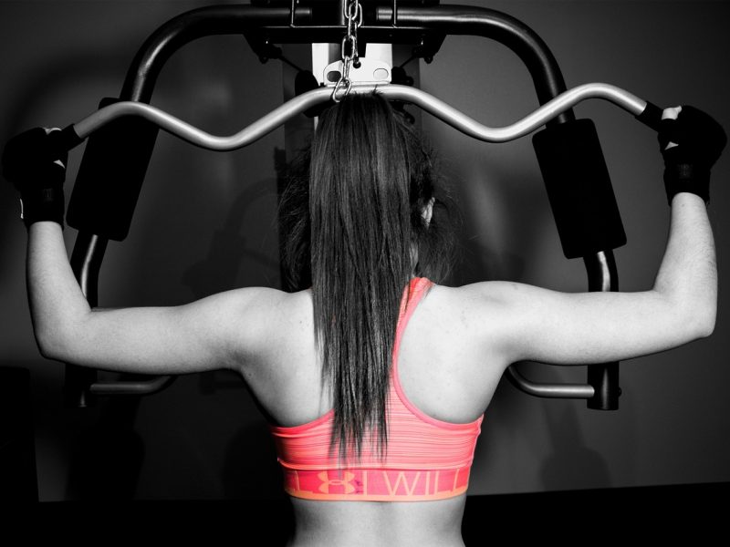 muscle