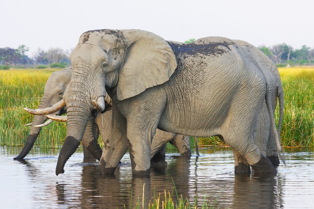 Botswana