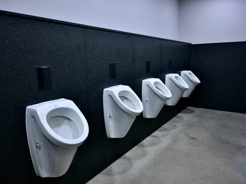 toilettes wc